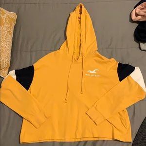 Hollister crop long sleeve tee with hood